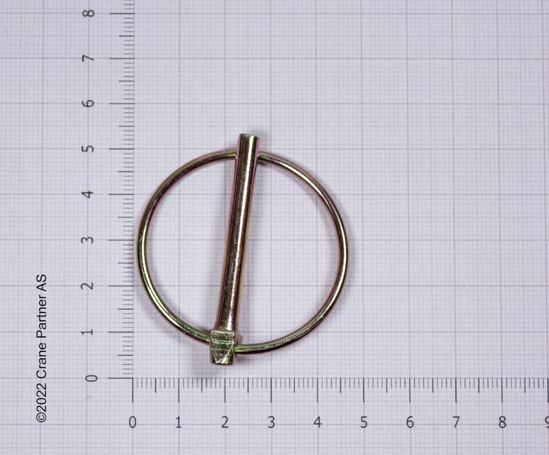 Orepinn Gulkromaterte, 5mm - 10 stk.